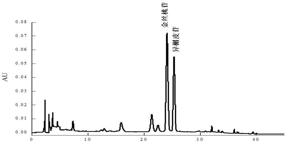 A method for separating and purifying hyperin and isoquercitrin from goldenflower sunflower