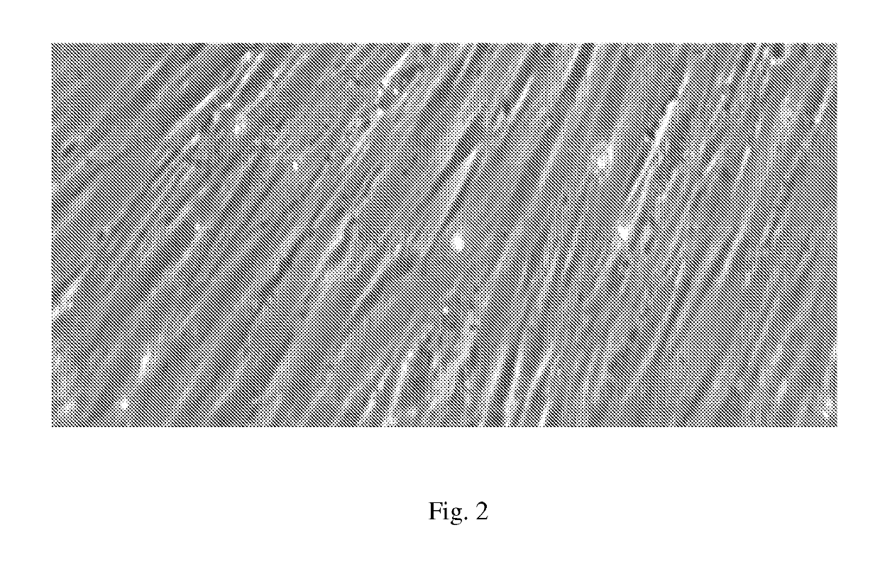 Compositions and methods for treating bone, joints and cartilage