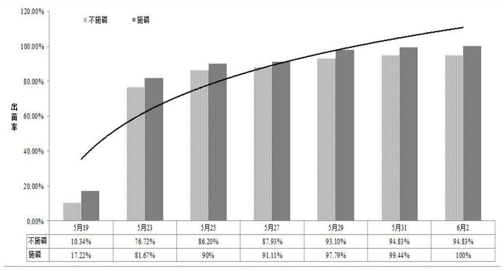 Cultivation process for improving low-temperature resistance of peanuts