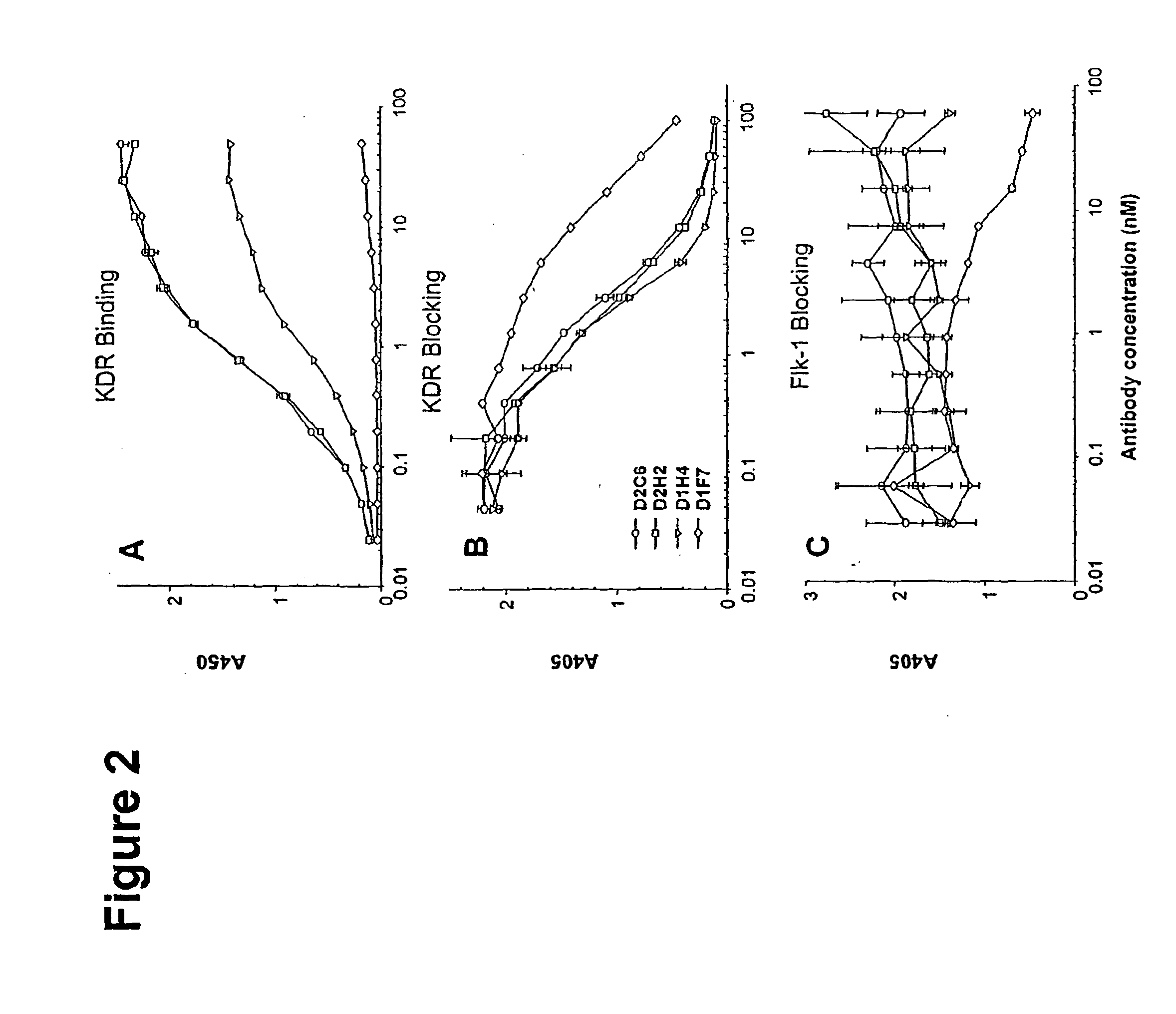 Human antibodies specific to kdr and uses thereof