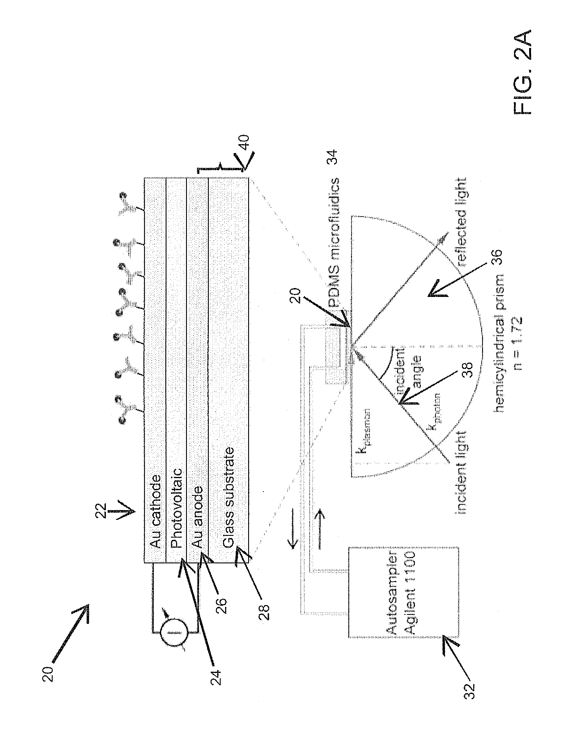 Near field detector for integrated surface plasmon resonance biosensor applications