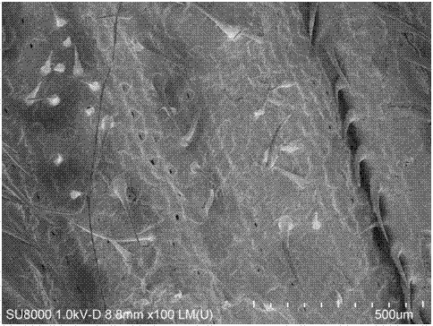 Method for determining concentration of Sudan red I and Sudan red II in red wine by corn husk thin film micro-extraction high performance liquid chromatography