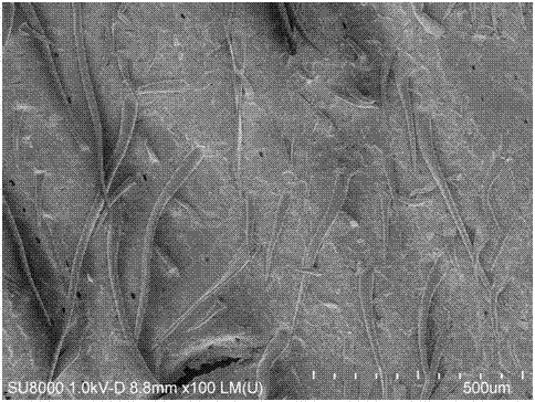 Method for determining concentration of Sudan red I and Sudan red II in red wine by corn husk thin film micro-extraction high performance liquid chromatography