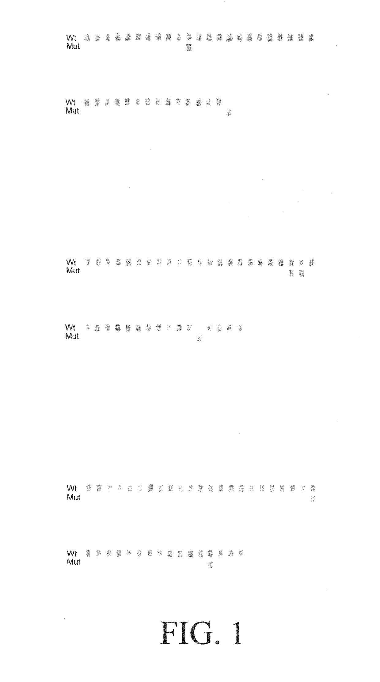 Hepatitis B variants with reduced sensitivity to therapeutic compounds, their detection and uses thereof