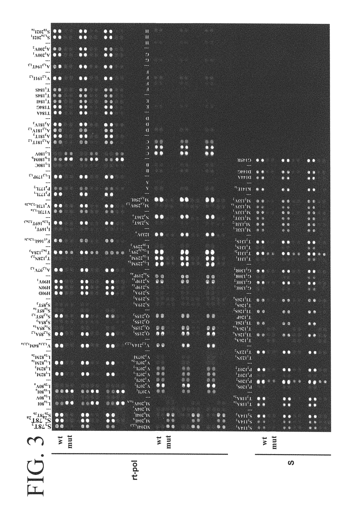 Hepatitis B variants with reduced sensitivity to therapeutic compounds, their detection and uses thereof