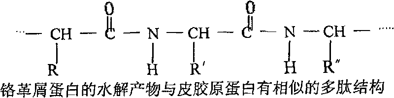 Preparation method of lignin-protein filled retanning agent for leather