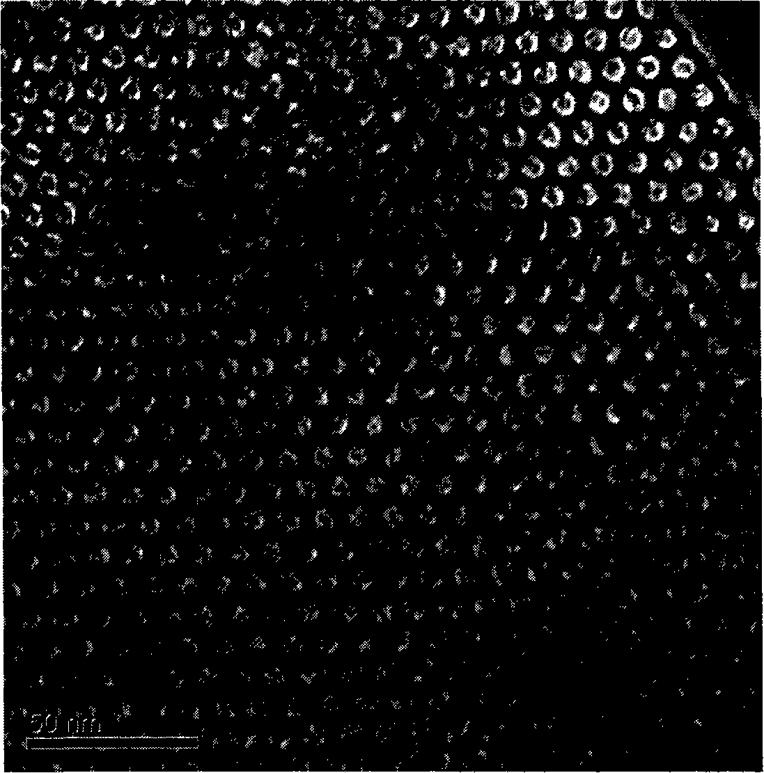 Method of catalytically synthesizing alpha-monolinolenin by using immobilization lipase