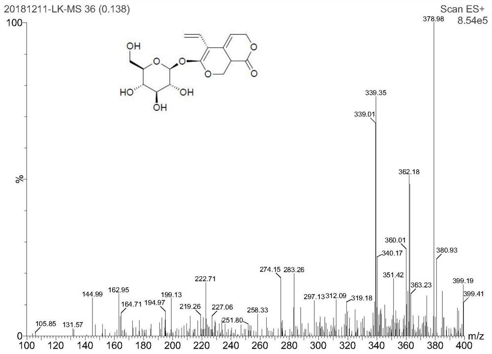 Method for detecting iridoid glycoside in gentianella turkestanorum by UPLC-MS/MS