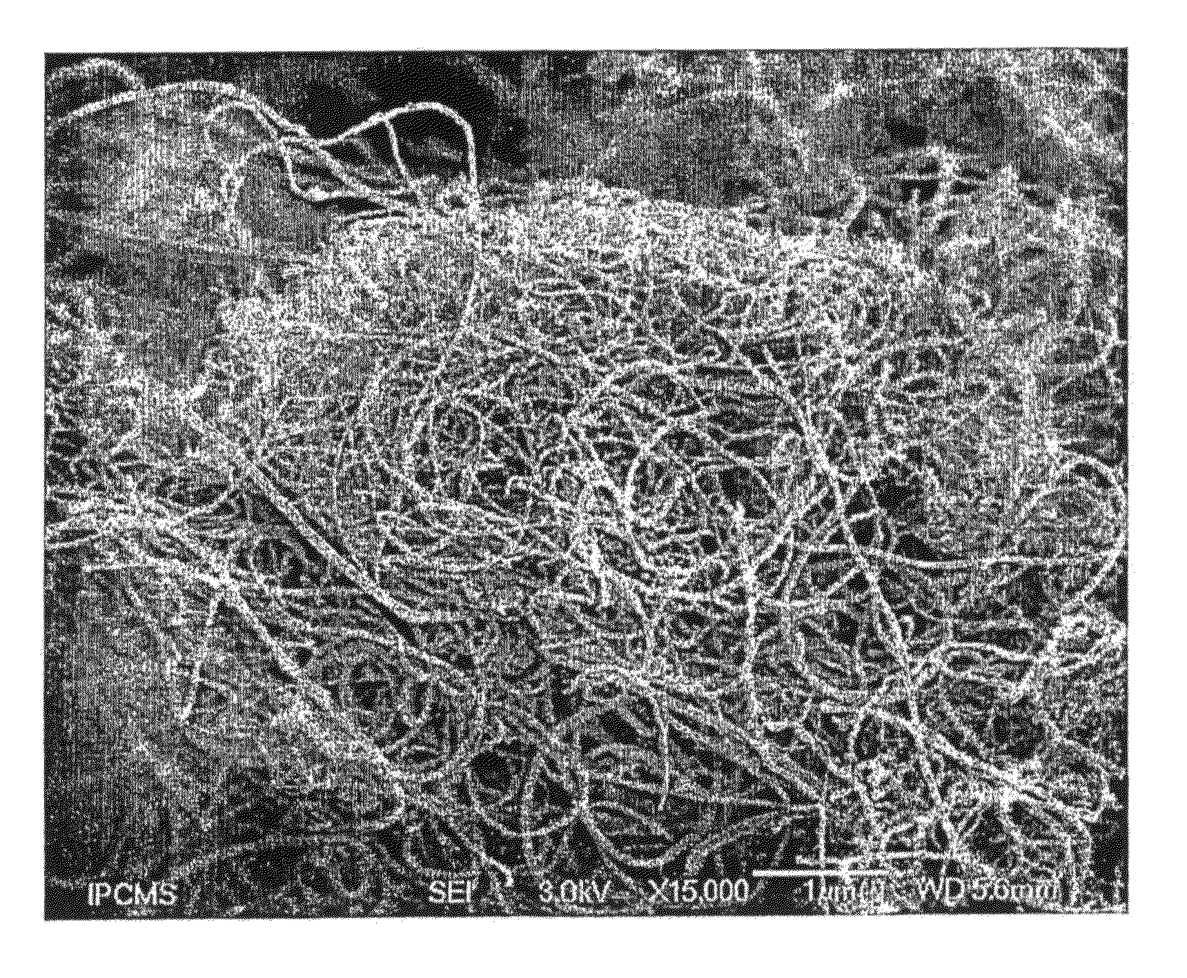 Materials based on tangled nanotubes or nanofibres, preparation method thereof and use of same