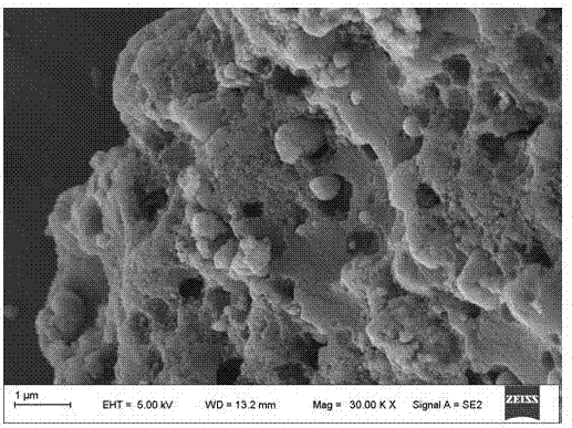 Preparation method of N-P-codoping porous biomass carbon catalyst