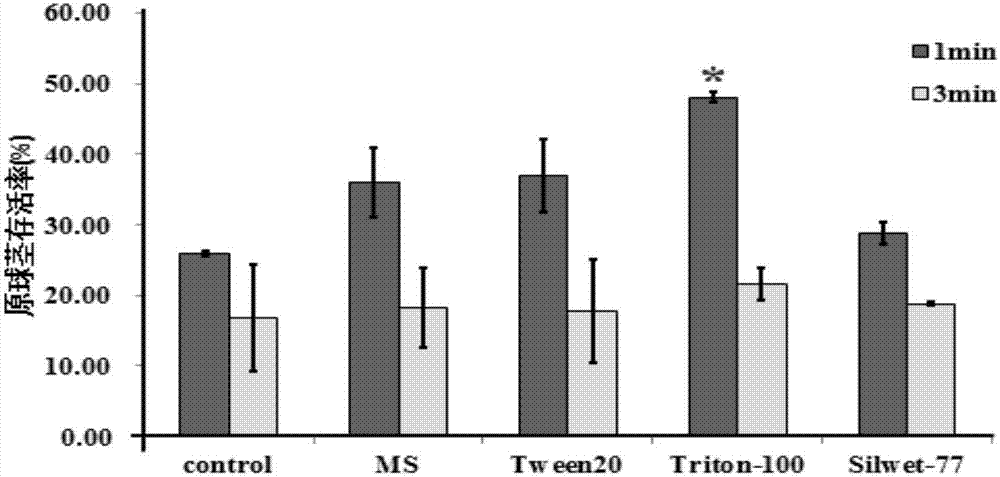 Efficient genetic transformation method of agrobacterium-mediated dendrobium candidum