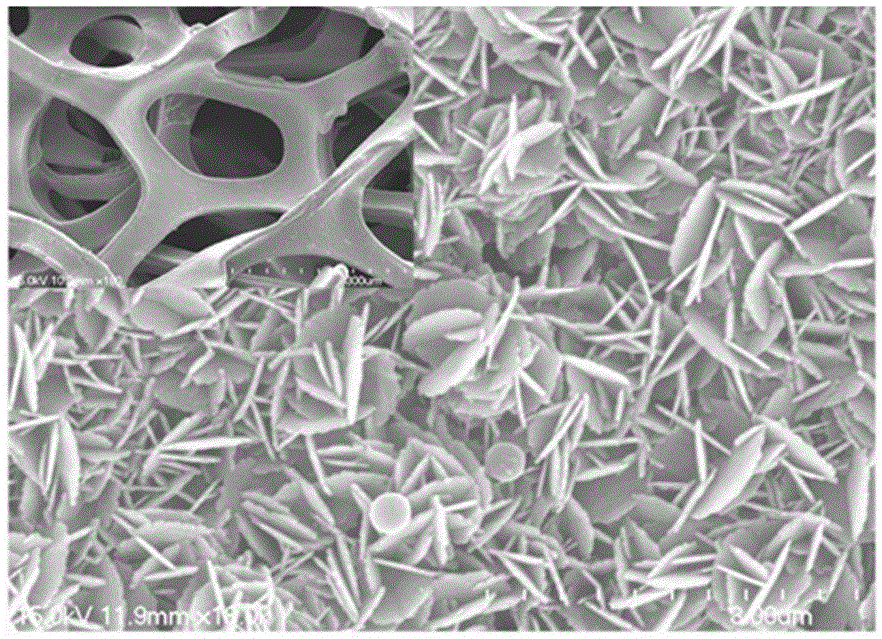 Composite material for visible light catalysis, preparation method thereof and application thereof in water treatment