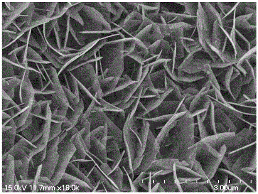 Composite material for visible light catalysis, preparation method thereof and application thereof in water treatment