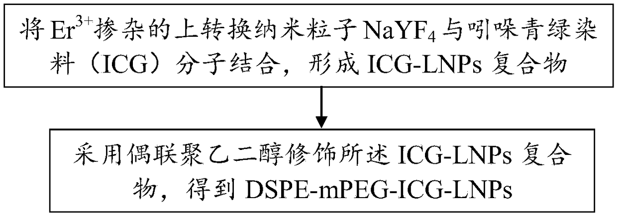 Rare earth up-conversion nanometer diagnosis and treatment agent and preparation method thereof