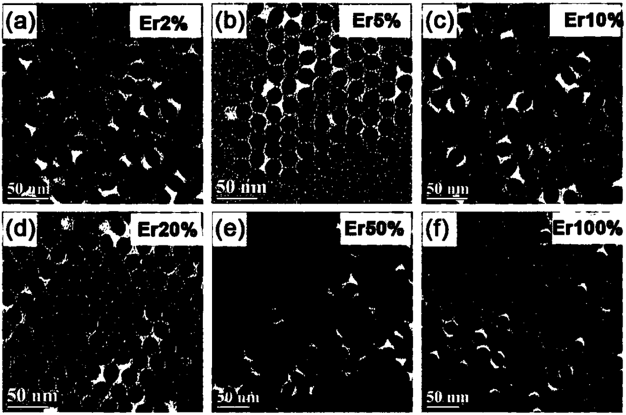 Rare earth up-conversion nanometer diagnosis and treatment agent and preparation method thereof