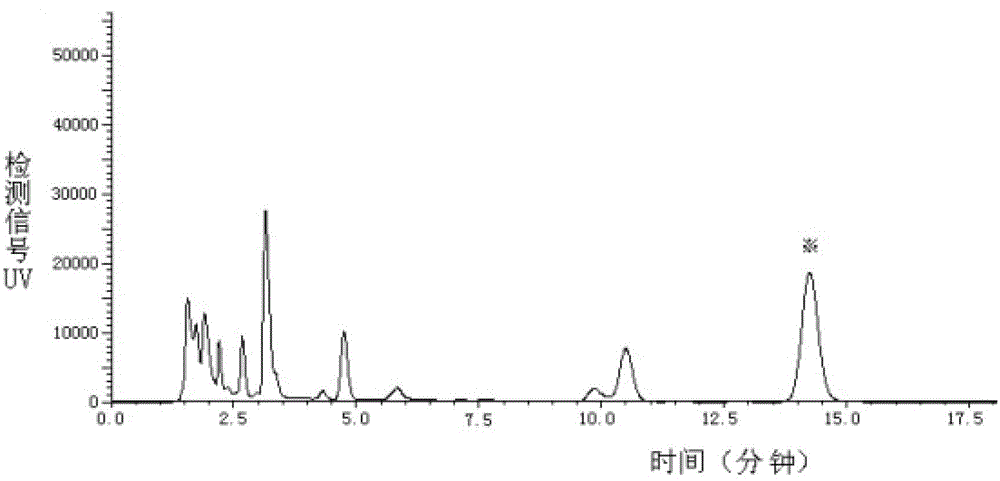 Method for extracting and separating cordycepin