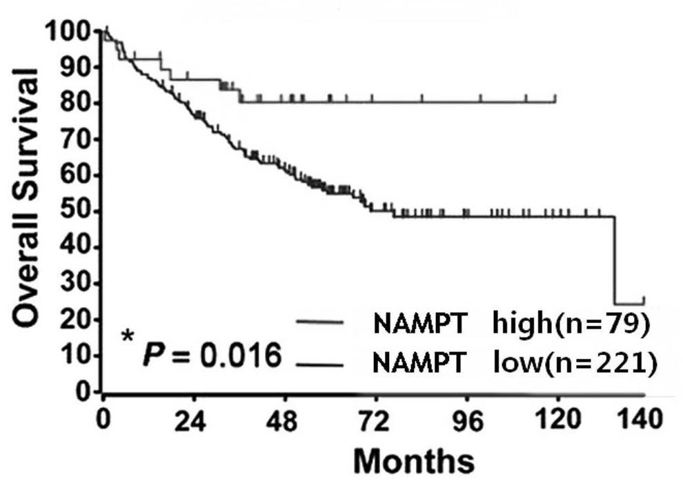 Biomarker for auxiliary diagnosis of gastric cancer and application thereof