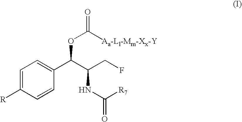 Water-Soluble Prodrugs of Florfenicol and its Analogs