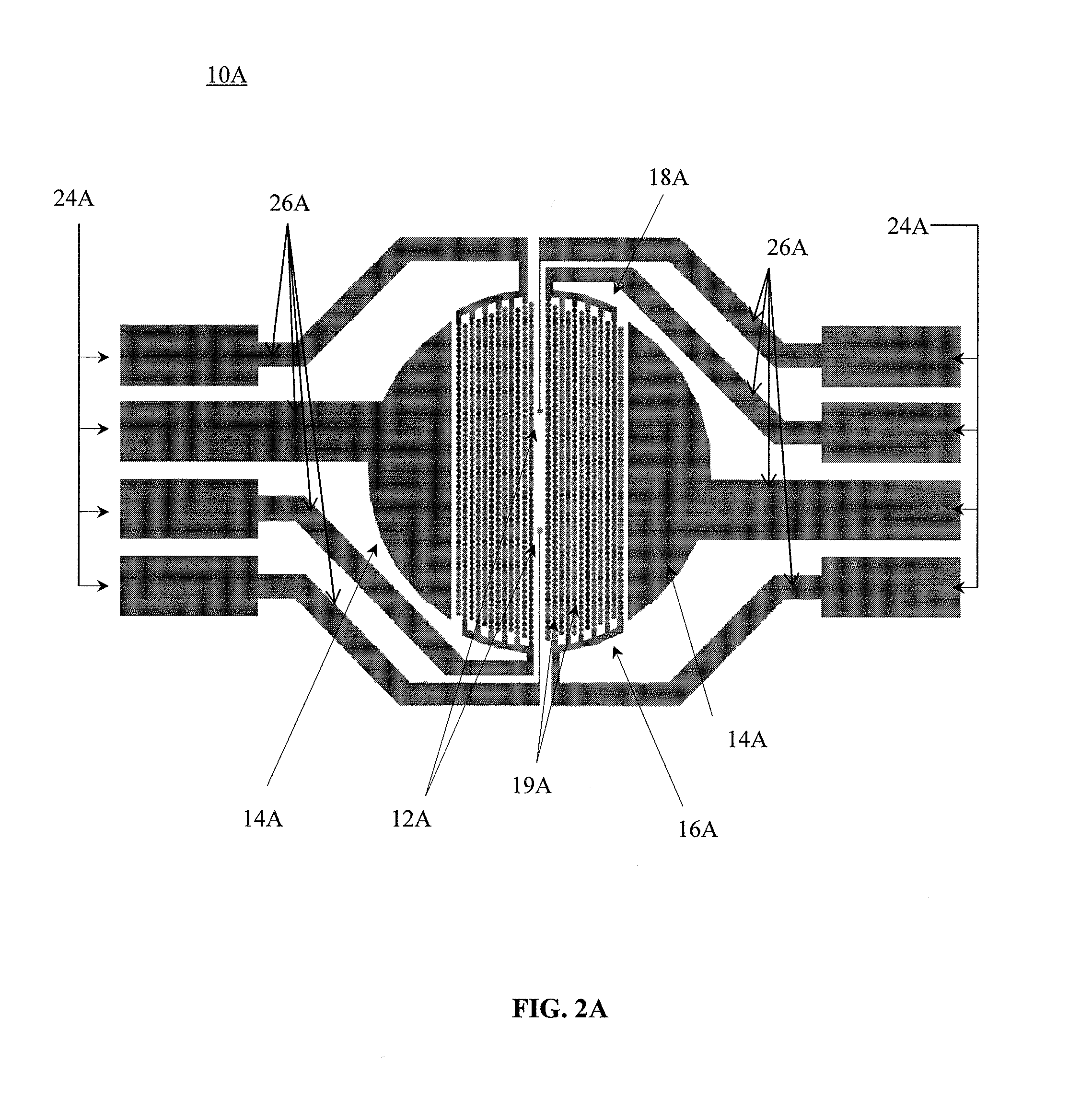 System and method for monitoring cardiomyocyte beating, viability, morphology, and electrophysiological properties