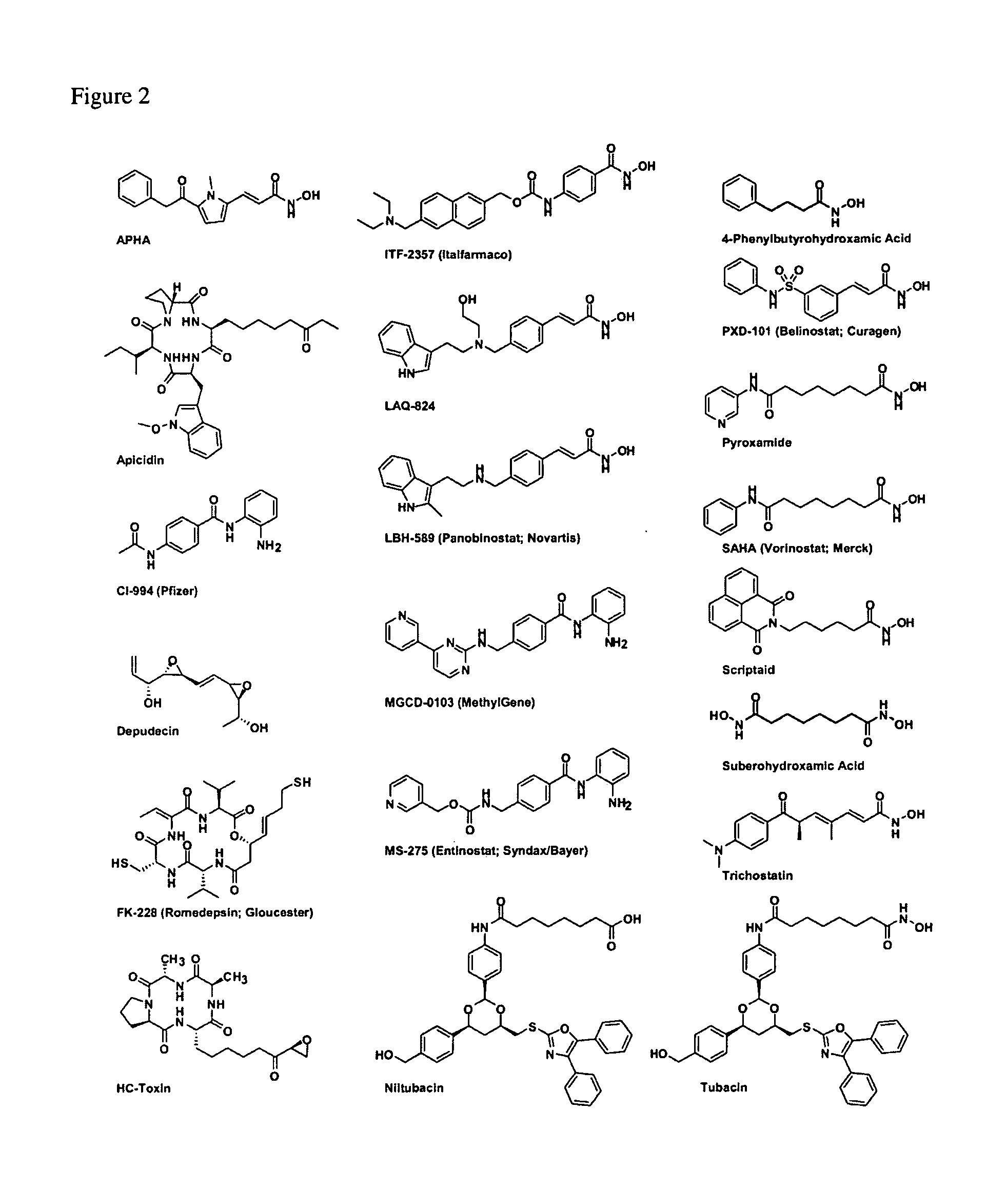 Class- and isoform-specific HDAC inhibitors and uses thereof