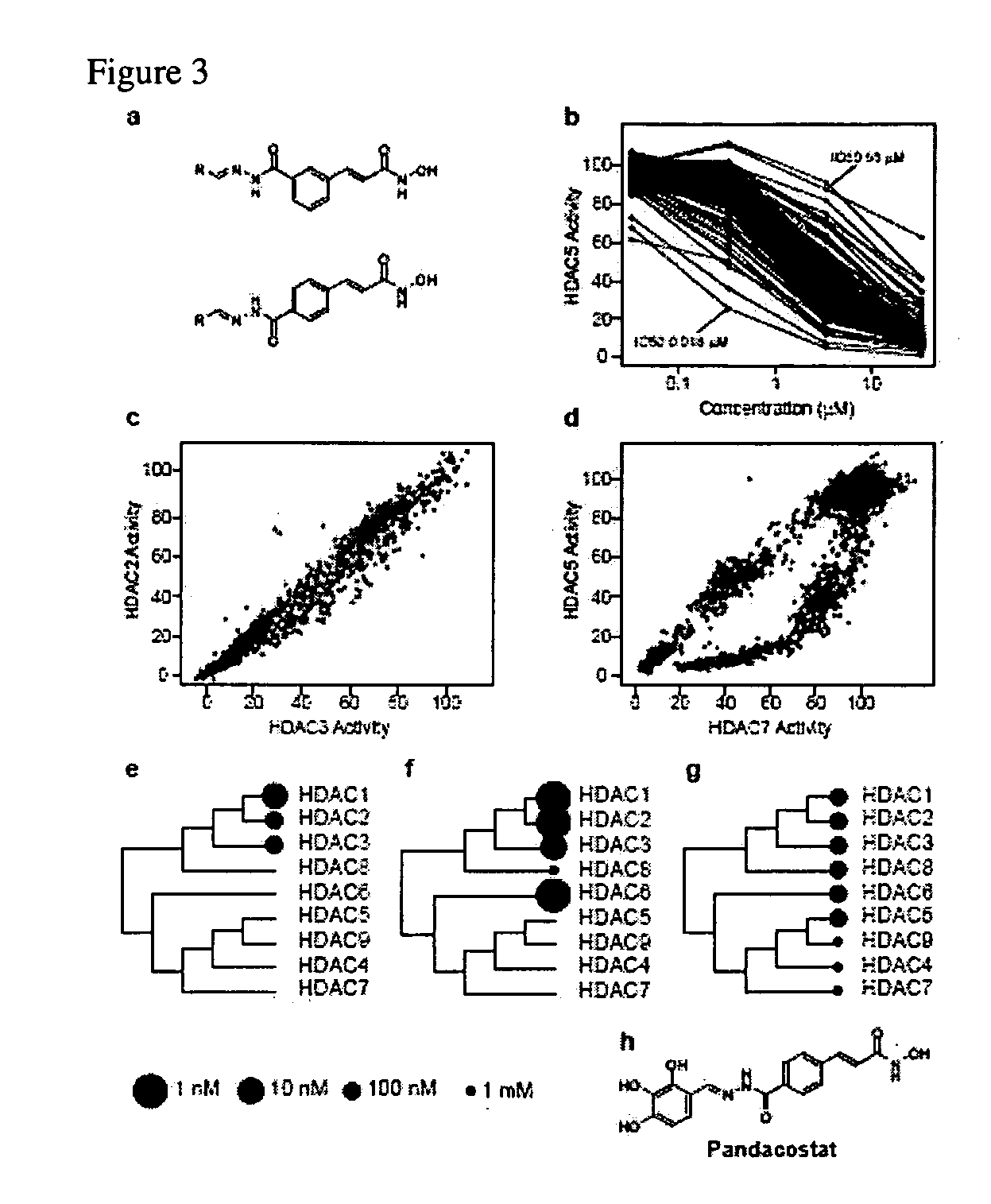 Class- and isoform-specific HDAC inhibitors and uses thereof