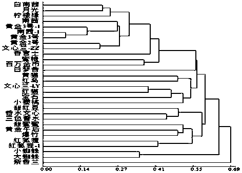 Oncidium est-ssr labeled primer and its application