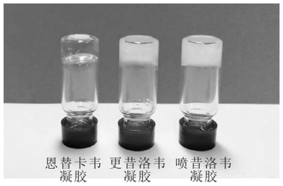 Antiviral hydrogel as well as preparation method and application thereof