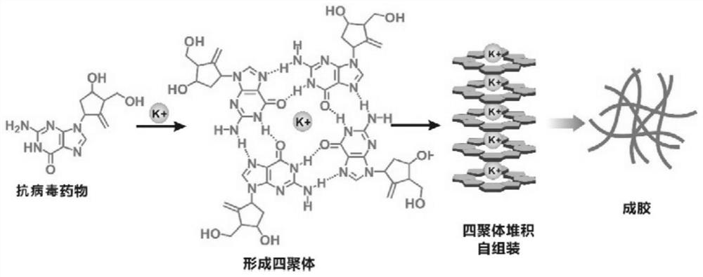 Antiviral hydrogel as well as preparation method and application thereof