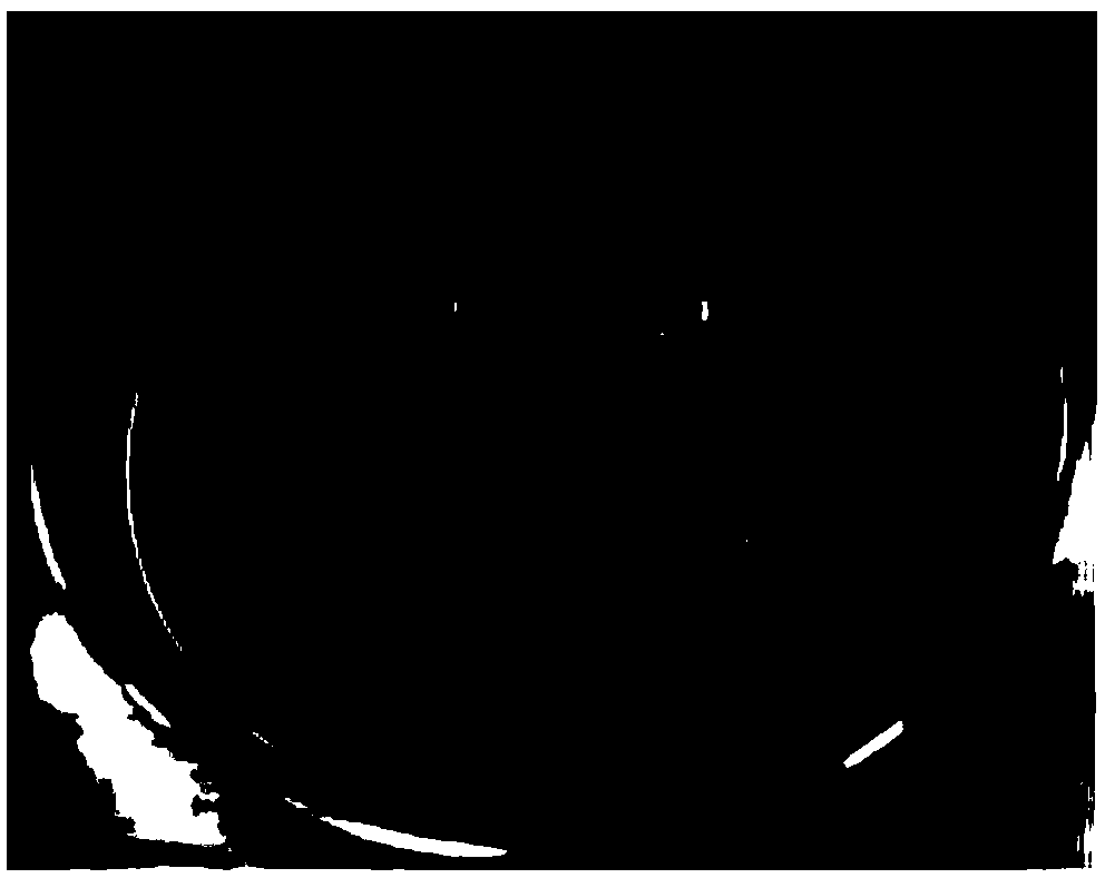 Momordica grosvenori endophyte strain capable of producing cyclodextrin glycosyltransferase as well as screening method and application of momordica grosvenori endophyte strain