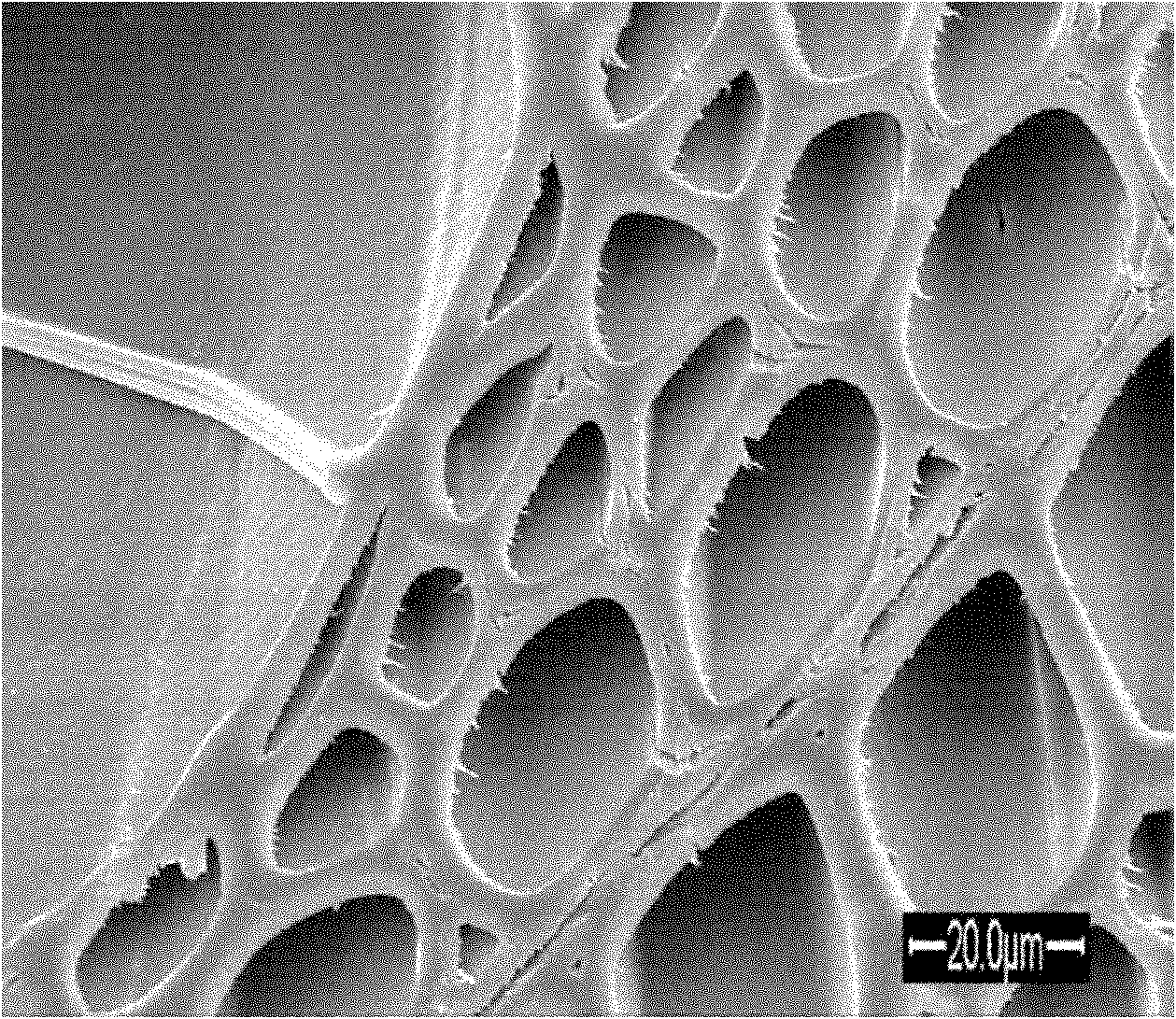 Method for modifying wood by filling grafted cell walls with organic monomers and polymerization-filling cell cavities