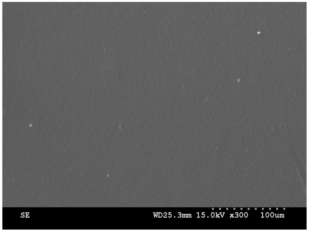 A scaffold-type silk fibroin film that is insoluble in water and its preparation and application