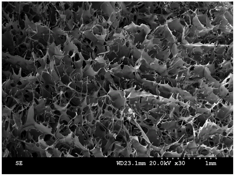 A scaffold-type silk fibroin film that is insoluble in water and its preparation and application