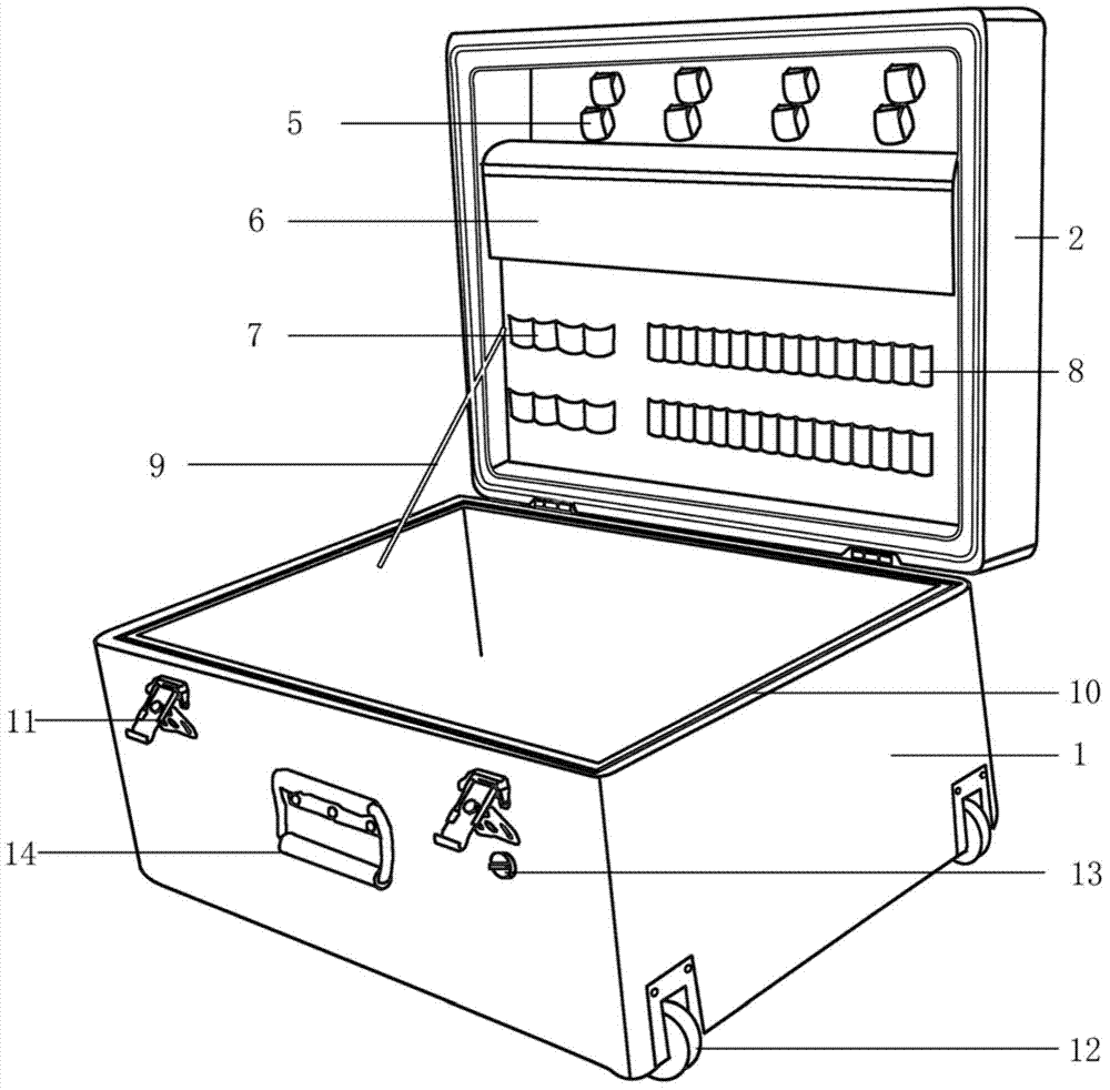 Specimen collecting, fixing, auxiliary identifying and carrying box of harmful animals