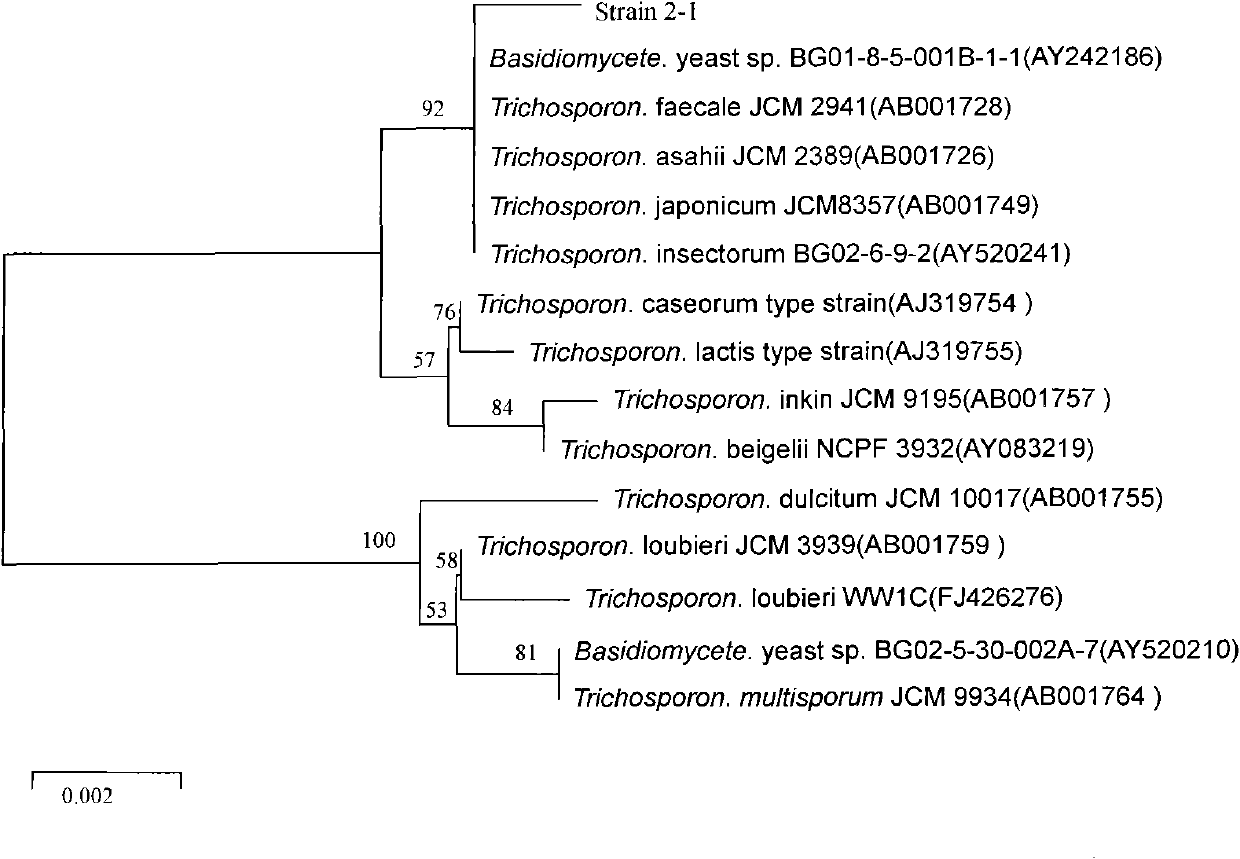 Trichosporon asahii 2-1 and application thereof in preparing acrylic acid