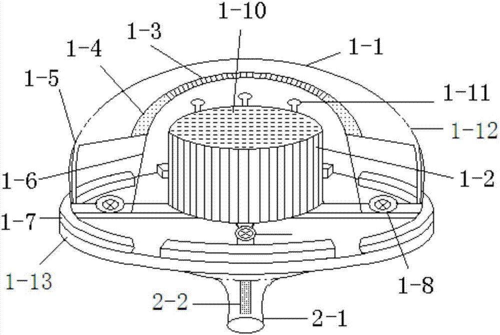 Streetlamp capable of electrostatically aqua-culturing plants and electrostatically purifying air