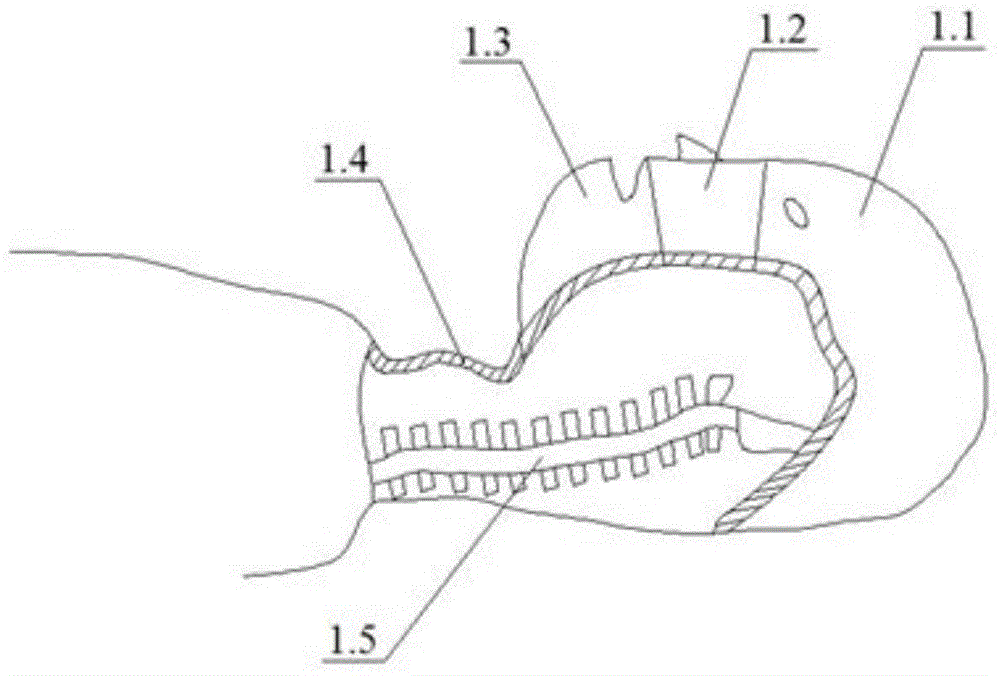 Airway simulation, organ and nerve block puncture simulation human body training model