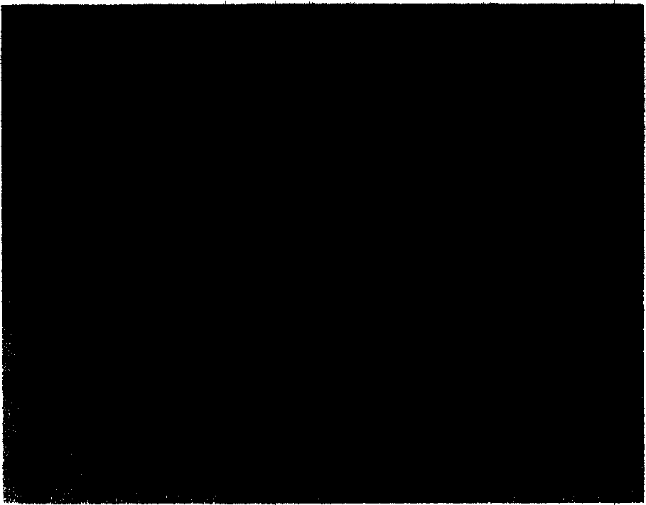 Ordered mesoporous molecnlar sieve material with wltrahigh hydrothermal stability and synthesis method thereof