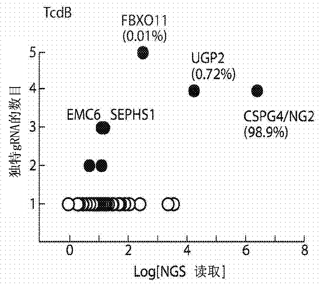 Compositions and methods for inhibiting wnt signaling