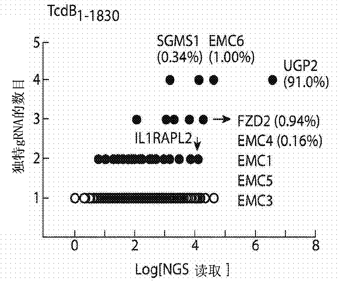 Compositions and methods for inhibiting wnt signaling