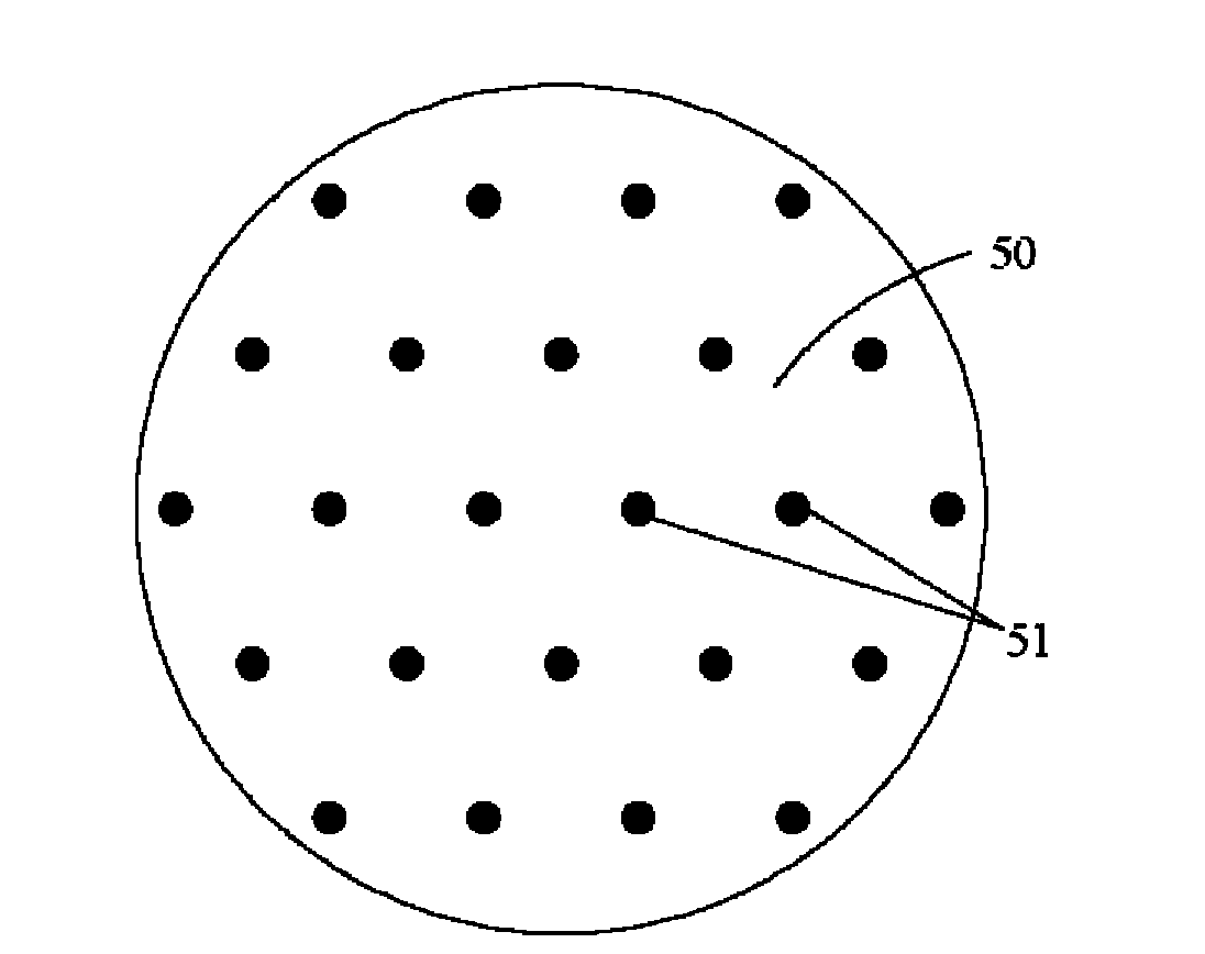 Plasma immersion implantation device