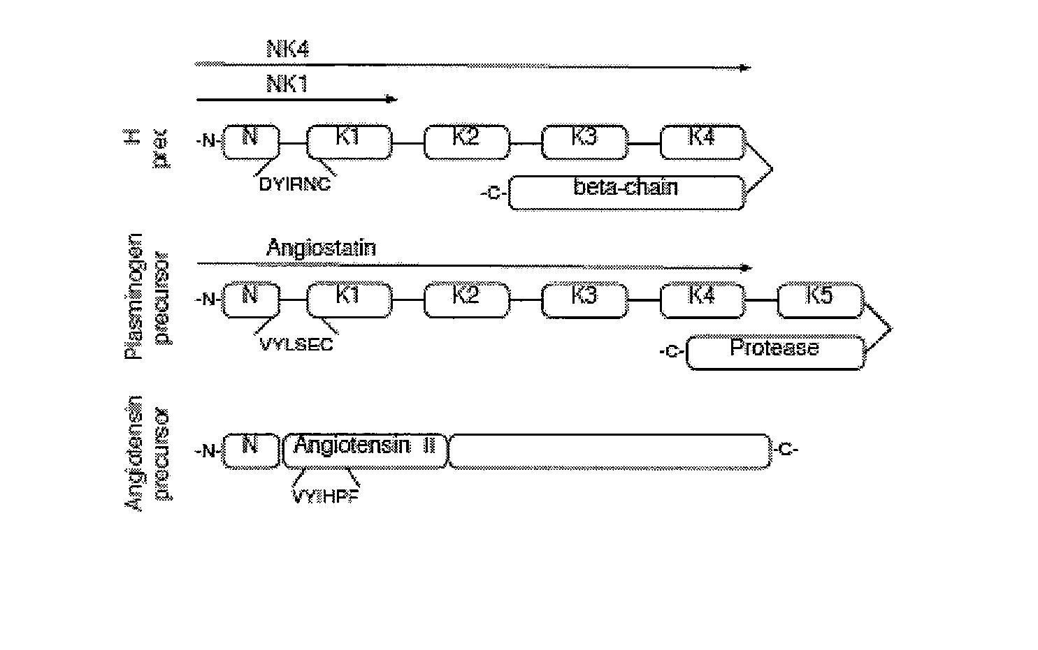 C-met receptor regulation by angiotensin iv (AT4) receptor ligands