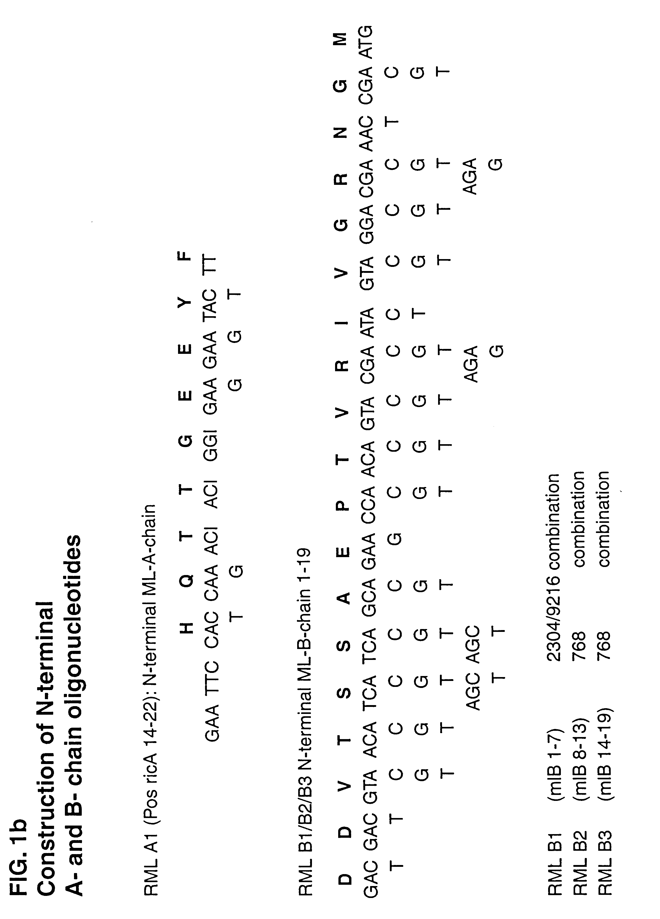 Recombinant mistletoe lectin (rML)