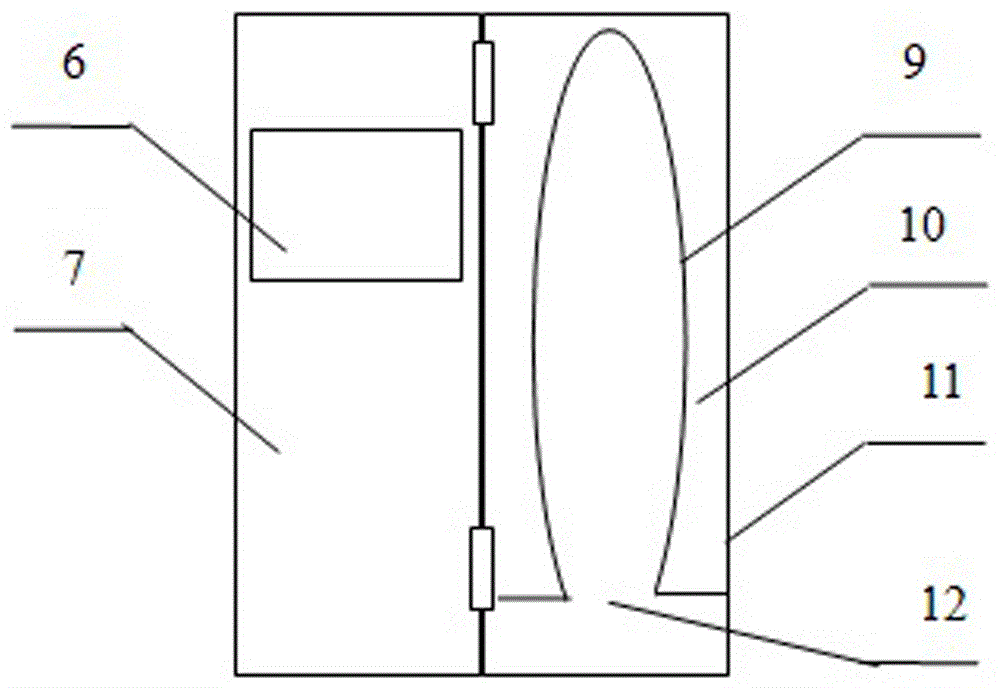 Device for marking on fish body