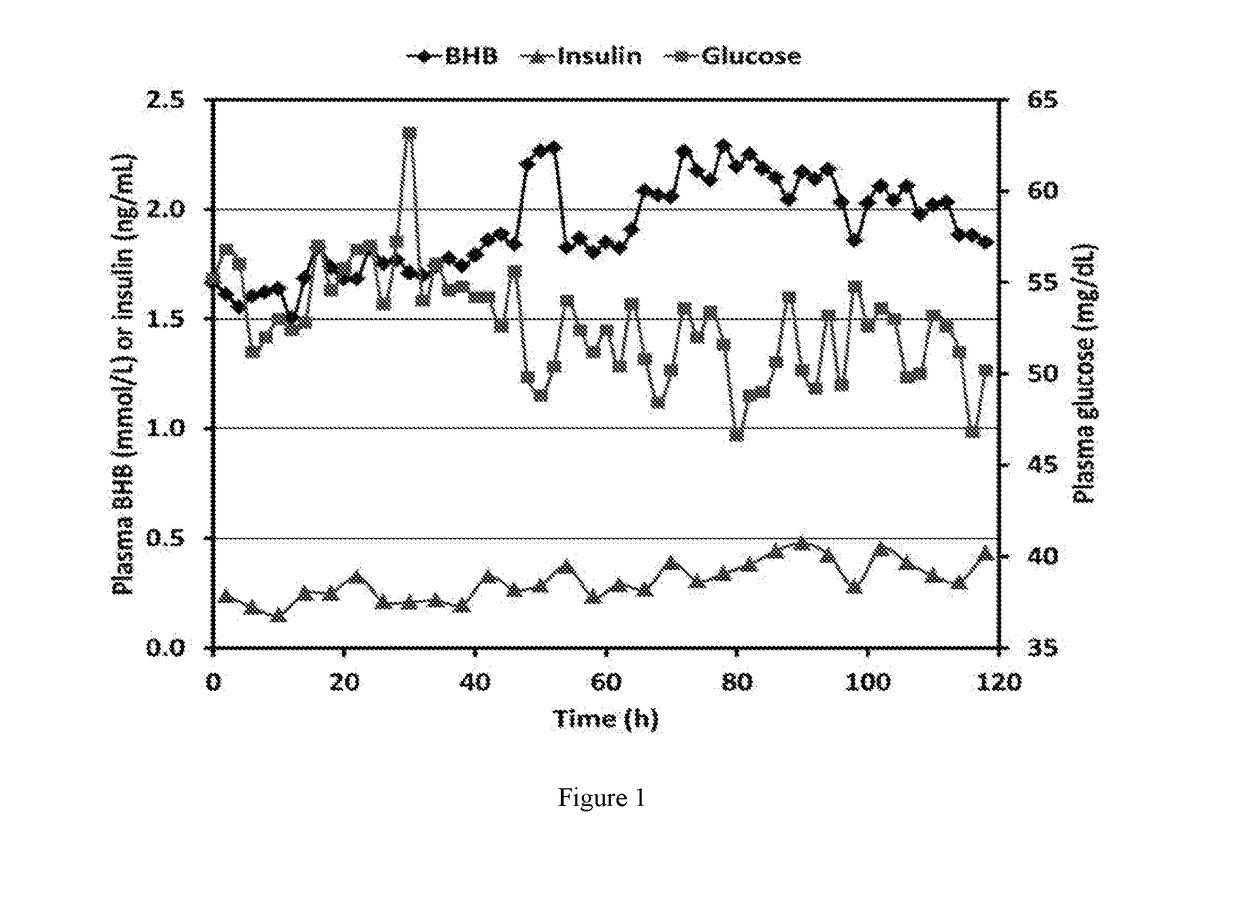 Reduced Pressure Maillard Synthesis of Carbohydrate Energy Supplement for Ruminant Livestock