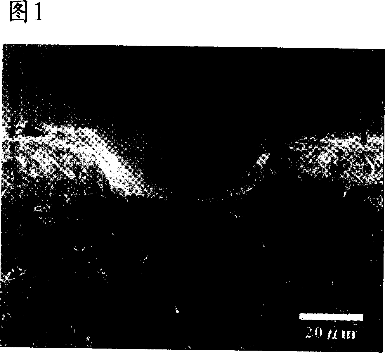 Glass cream for protective coating and thick film resistance element