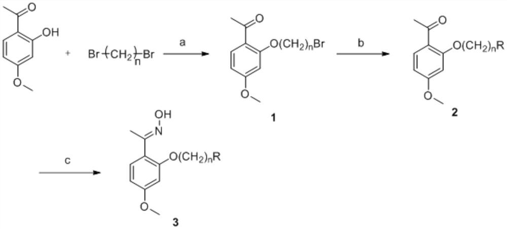 Novel paeonol oxime compound as well as preparation method and medical application thereof