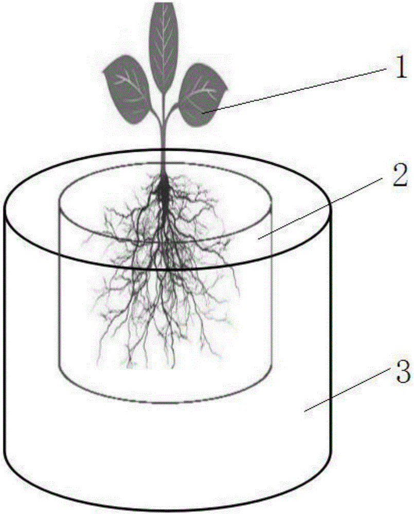 Modified biomass charcoal and method for preventing heavy metal from being accumulated in vegetable bodies