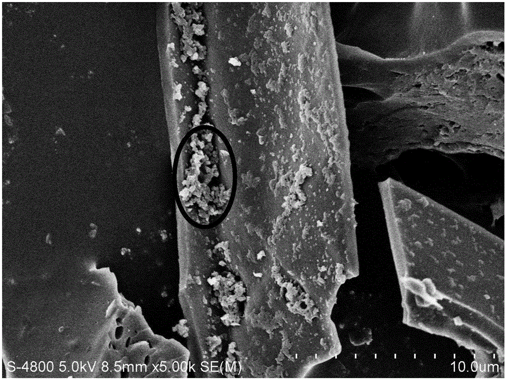 Modified biomass charcoal and method for preventing heavy metal from being accumulated in vegetable bodies