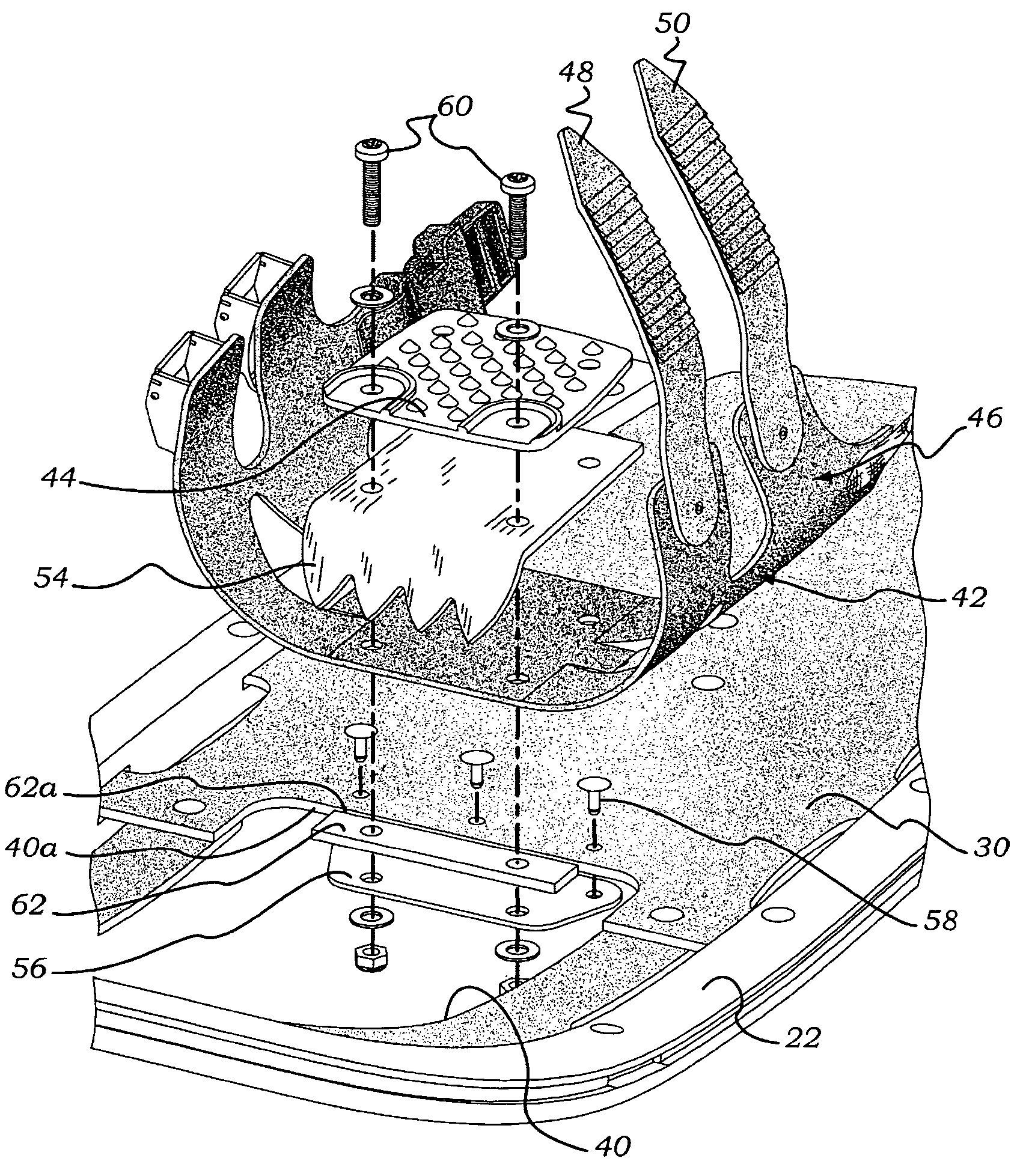 Snowshoe