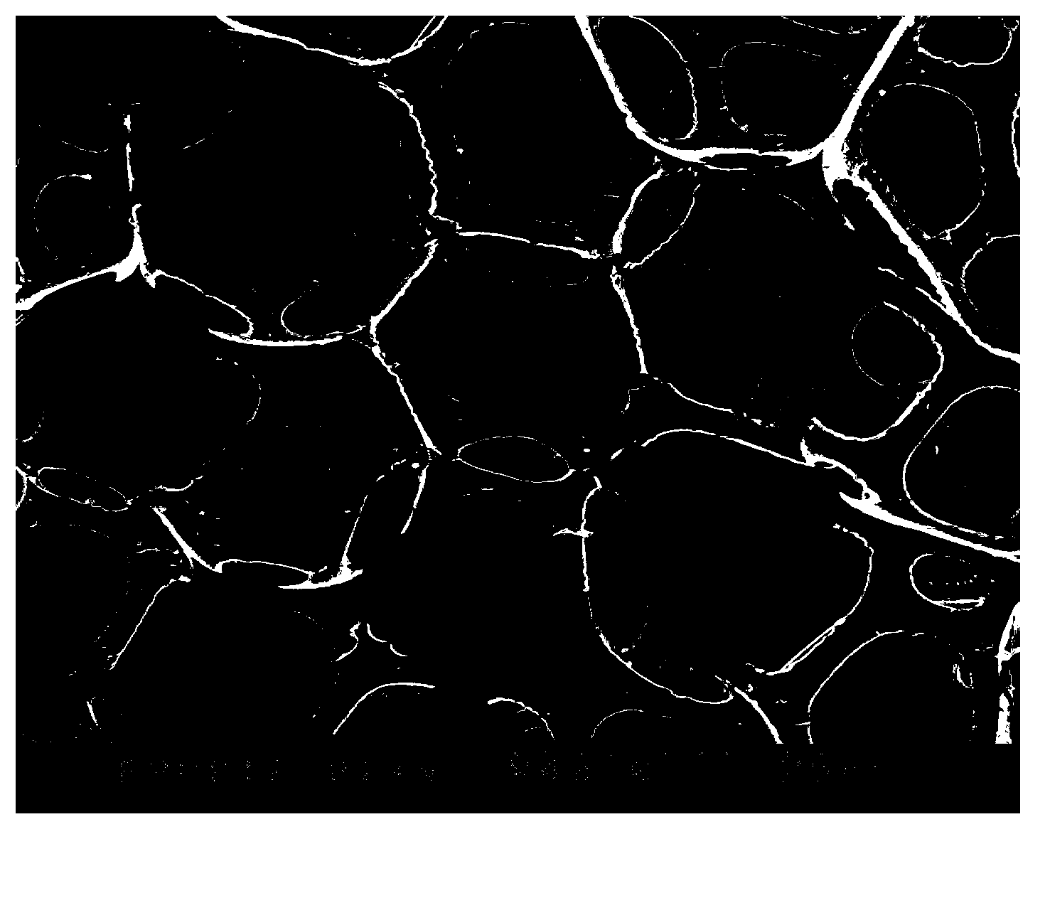 Immobilized low-temperature nitrobacterium and application thereof in treating low-temperature ammonia-nitrogen wastewater